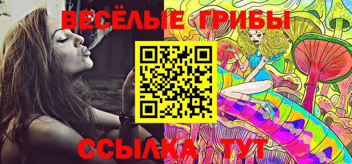 Галлюциногенные грибы прущие грибы  Вход с VPN  Саранск 