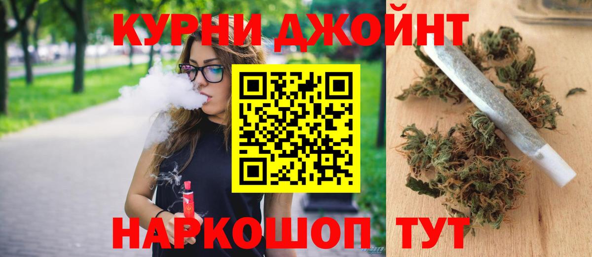 Канабис сатива Саранск